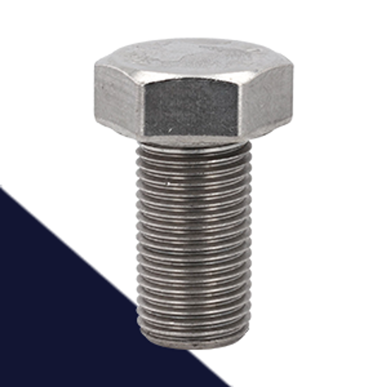 Hex Bolts Stainless